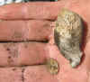 clay pipe.jpg (159103 bytes)
