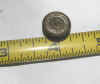 button1.jpg (240886 bytes)