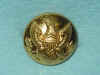 button.jpg (10953 bytes)