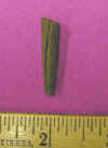 Tinkeling cone.jpg (24117 bytes)